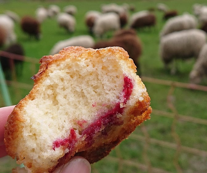 Hallonmuffins med vit choklad
