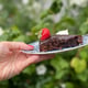 Kladdkaka med salt chokladkola
